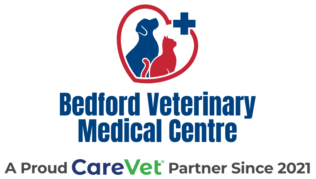 Bedford Veterinary Medical Center Logo